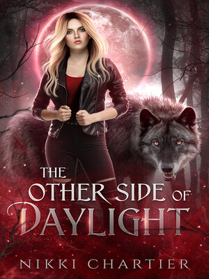 cover image of The Other Side of Daylight